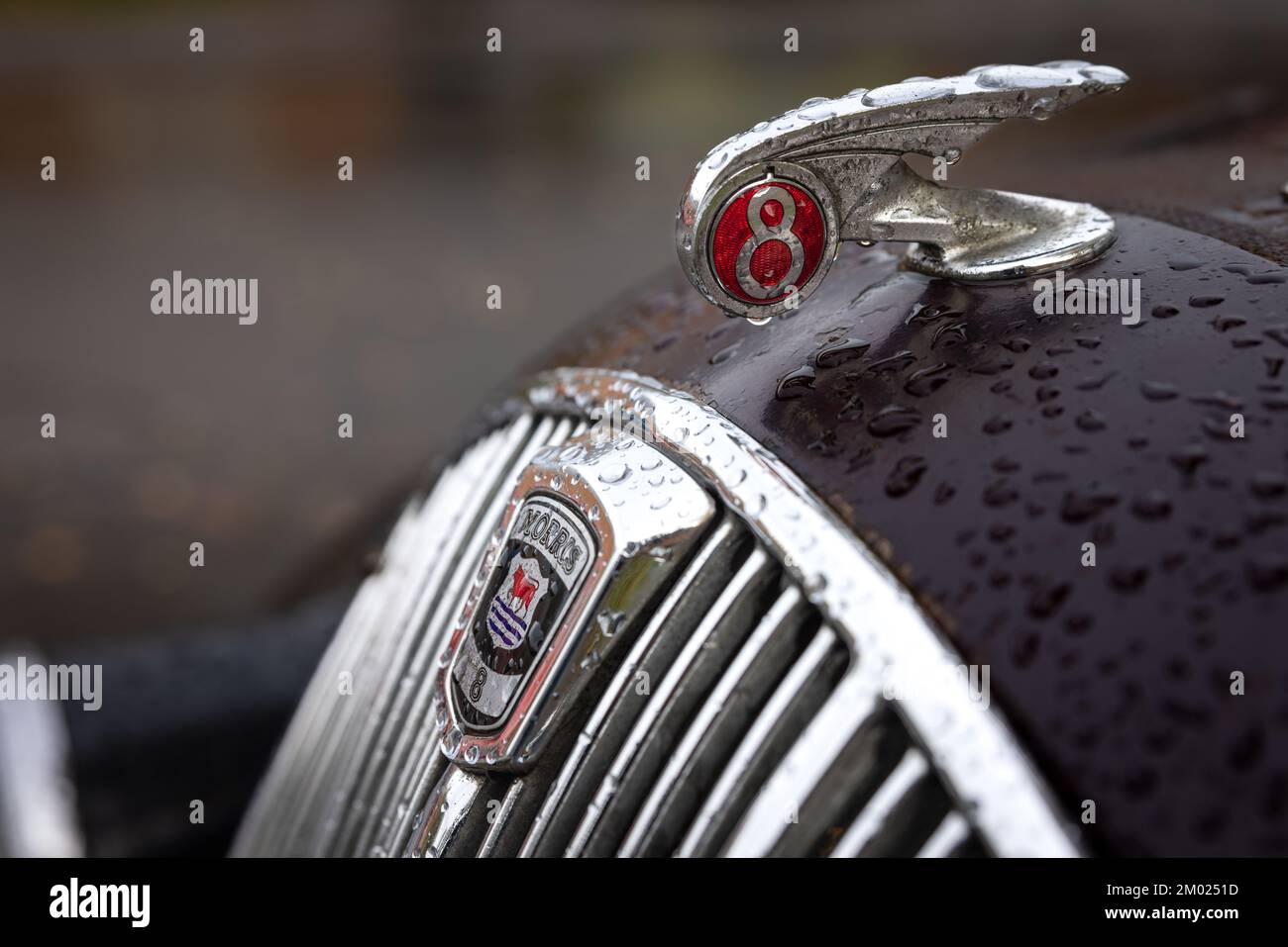 Morris 8 Motorhaubenmaskottchen und Kühlerabzeichen Stockfoto