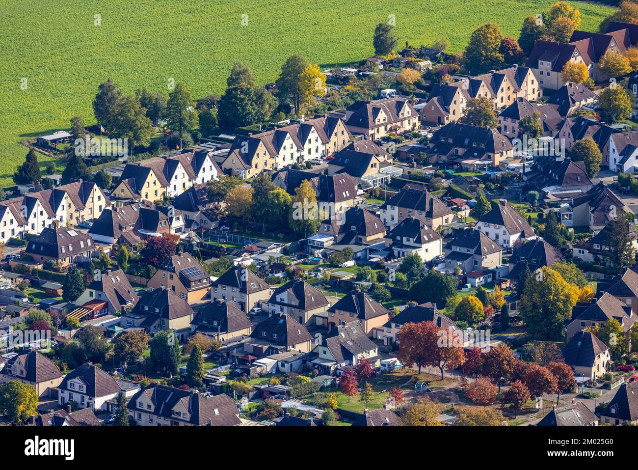 Luftbild, Arbeitersiedlung Kolonie Maximilian, Fritz-Erler-Straße, Uentrop, Hamm, Ruhrgebiet, Nordrhein-Westfalen, Deutschland, DE, Eisenwerksgesellsc Stockfoto
