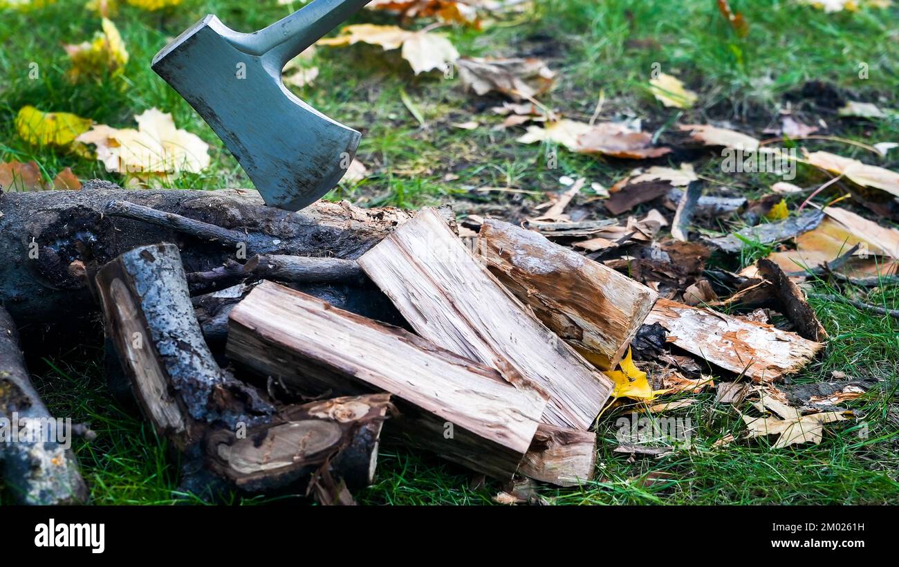 Nahaufnahme von der Axt mit Holz im Herbst mit Laub um sich herum Stockfoto