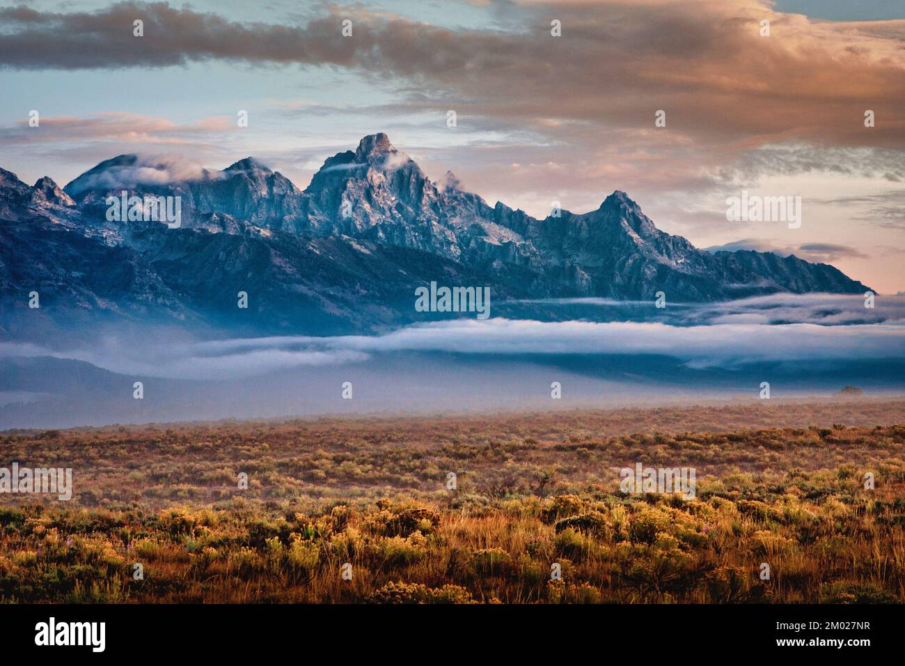 Die Berge des Grand Teton National Park, Wyoming, liegen früh am Morgen in der Sonne. Stockfoto