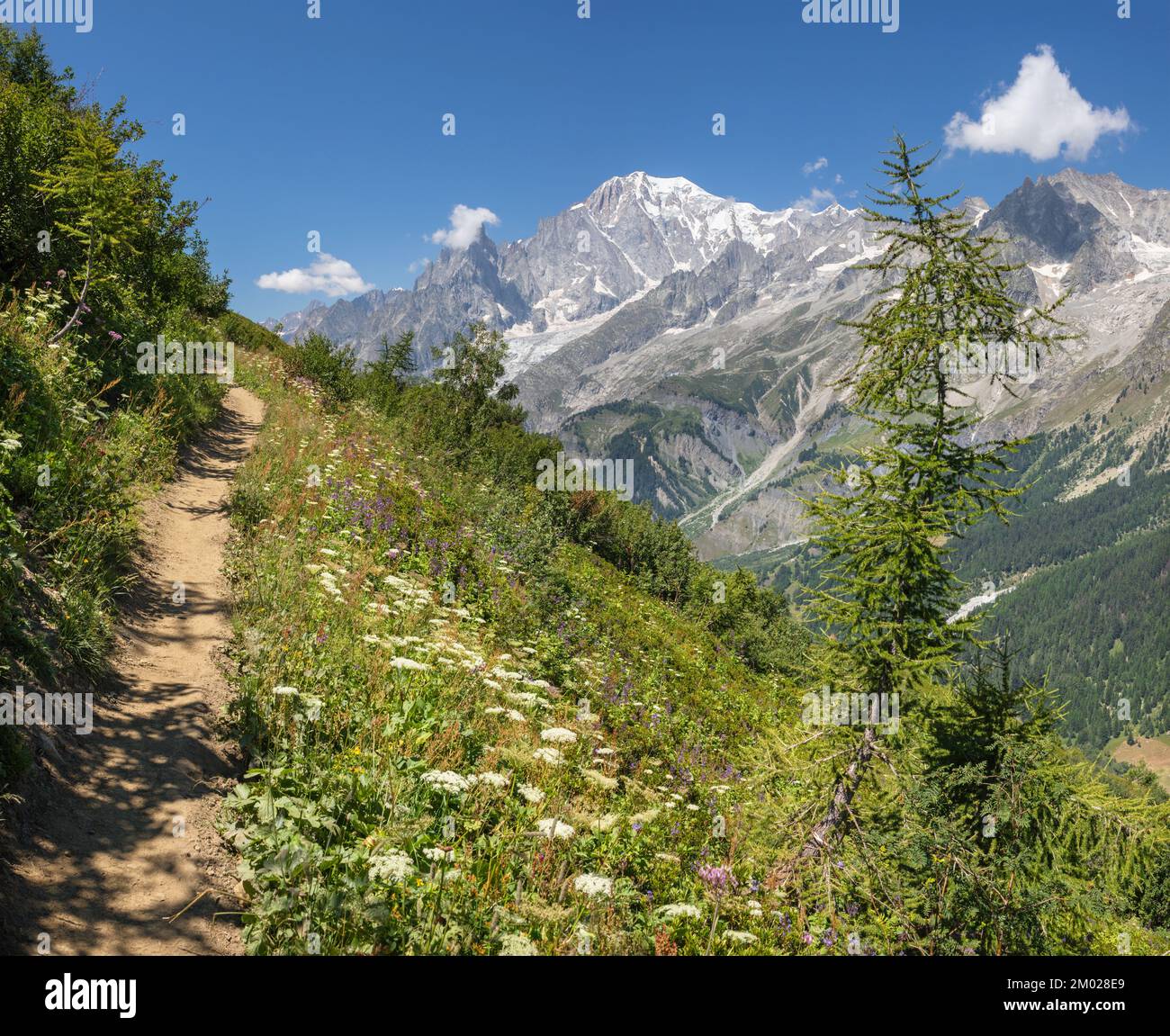 Das Mont-Blanc-Massiv aus dem Val Ferret-Tal in Italien. Stockfoto