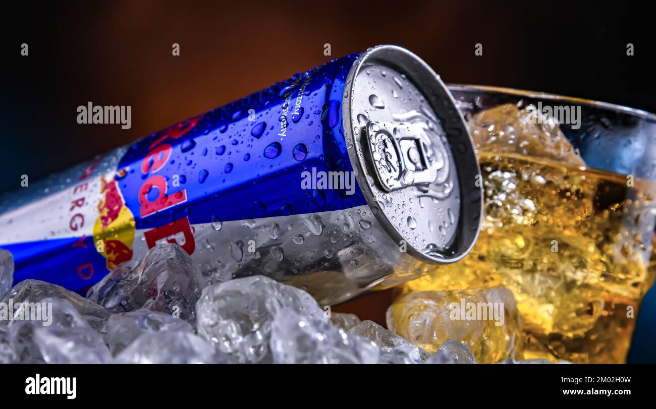 POZNAN, POL - 25. NOVEMBER 2022: Dose of Red Bull, ein Energy Drink, der von der Red Bull GmbH verkauft wird, einem österreichischen Unternehmen, das 1987 gegründet wurde Stockfoto