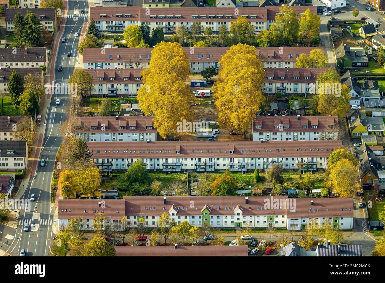 Luftaufnahme, Bäume in Herbstfarben, Reihenhäuser Mietshaus zwischen Grimmstraße und Fritz-Erler-Straße, Kamen, Ruhrgebiet, Nordrhein-West Stockfoto