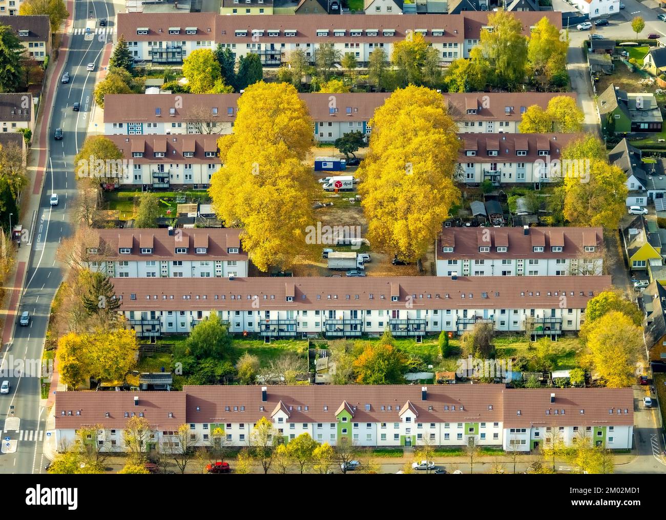 Luftaufnahme, Bäume in Herbstfarben, Reihenhäuser Mietshaus zwischen Grimmstraße und Fritz-Erler-Straße, Kamen, Ruhrgebiet, Nordrhein-West Stockfoto