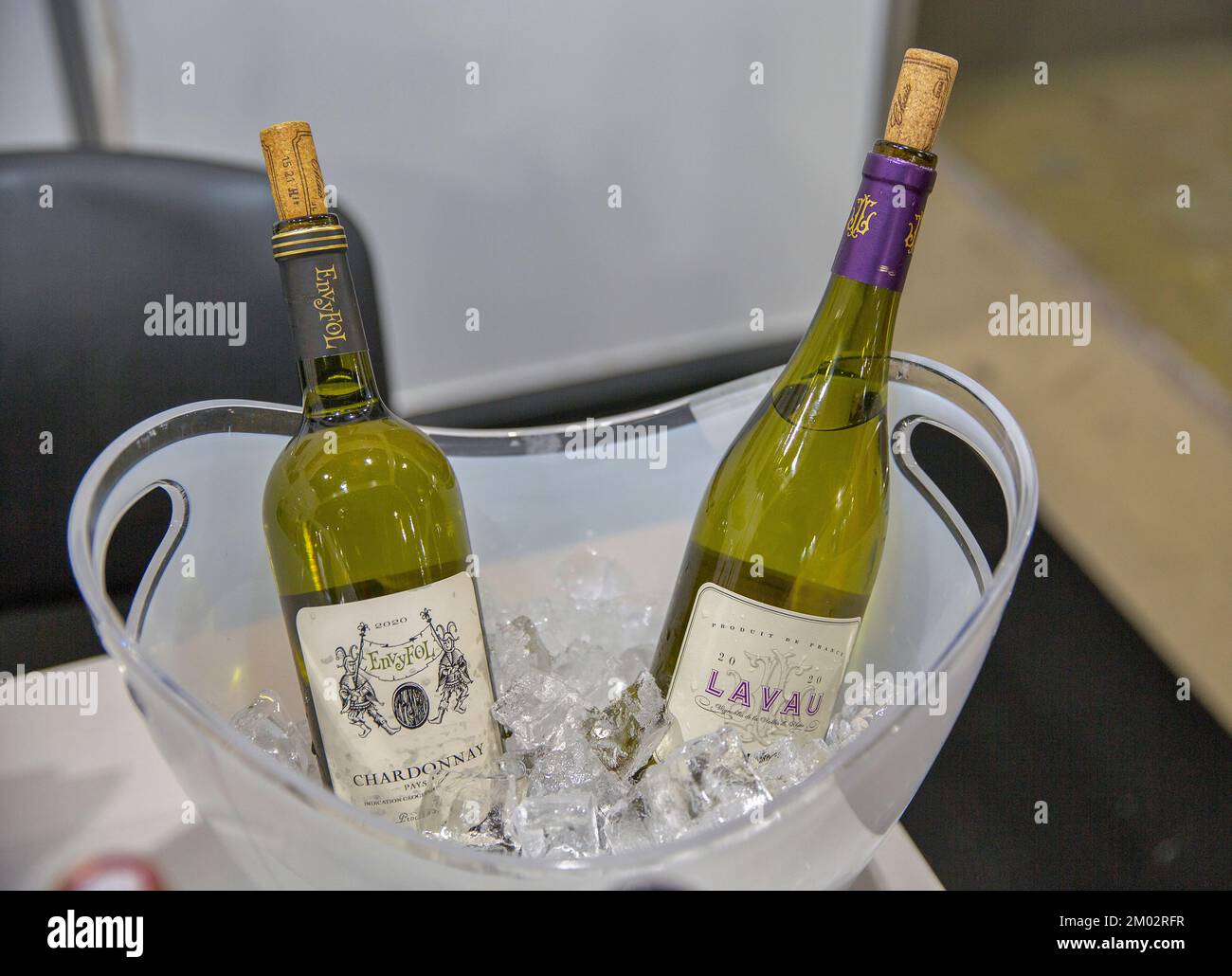 Kiew, Ukraine - 02. November 2021: Französische trockene Weißweinflaschen im Eiskübel auf der Wein- und Spirituosenausstellung, Hauptereignis für Wein- und Spirituosenmarkt Stockfoto