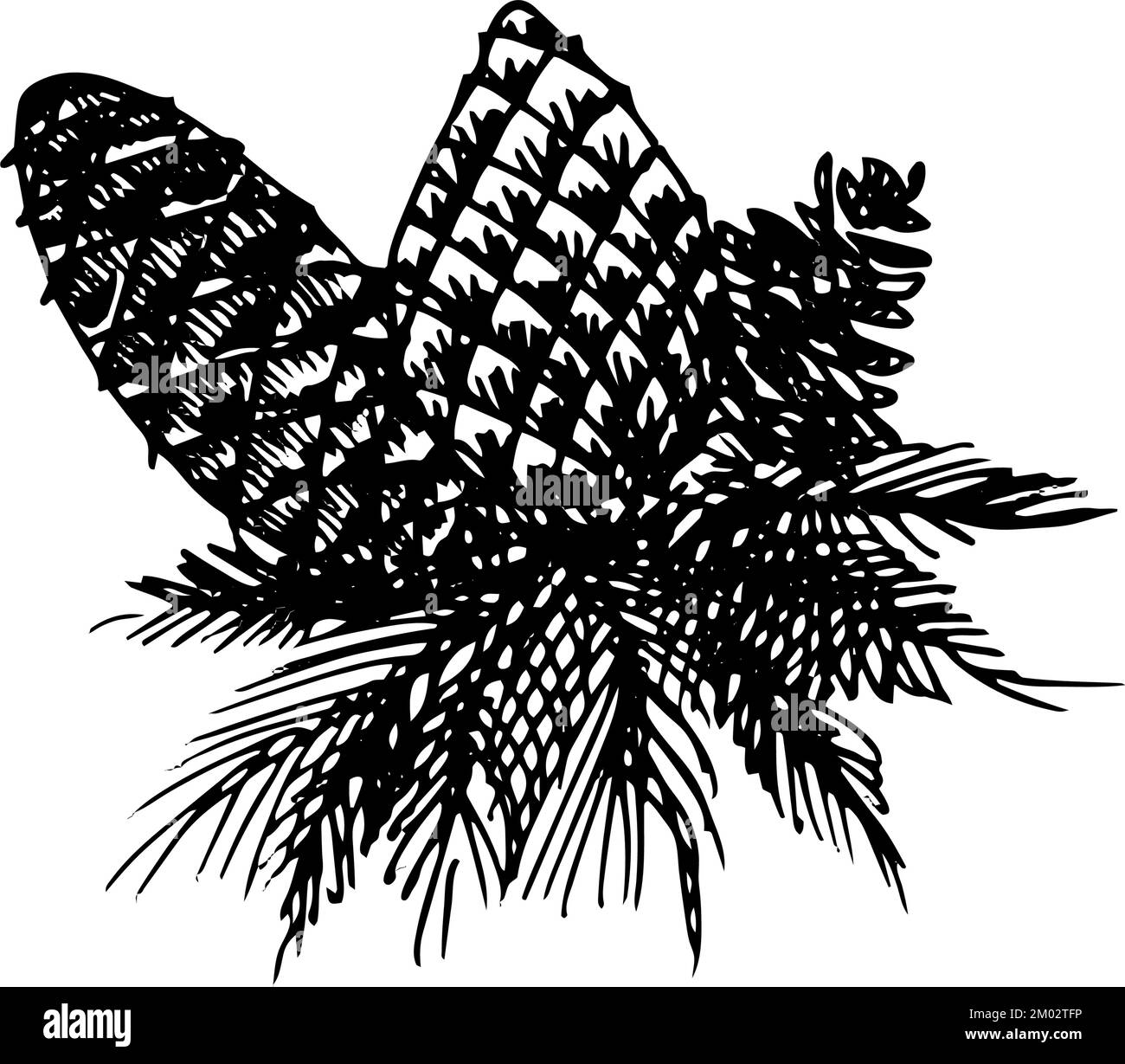 Illustration des künstlerischen Weihnachtslieblings. Handgezogene Kiefernzapfen. Weihnachtskarte mit Vintage-Design für das neue Jahr oder Einladung auf Weiß Stock Vektor