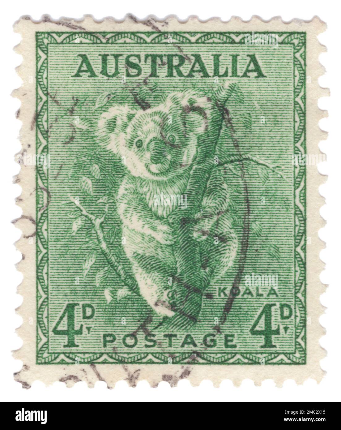 AUSTRALIEN – 1942: Eine grüne Briefmarke mit 4 Pence, die die Serien Koala, King George VI und Queen Elizabeth darstellt. Der Koala oder, genauer gesagt, der Koalabär (Phascolarctos cinereus) ist ein arborealer, pflanzenfressender Beutelmist aus Australien. Es ist der einzige noch existierende Vertreter der Familie Phascolarctidae und seine engsten lebenden Verwandten sind die Wombats. Der Koala findet sich in Küstengebieten der östlichen und südlichen Regionen des Festlands in Queensland, New South Wales, Victoria und Südaustralien Stockfoto