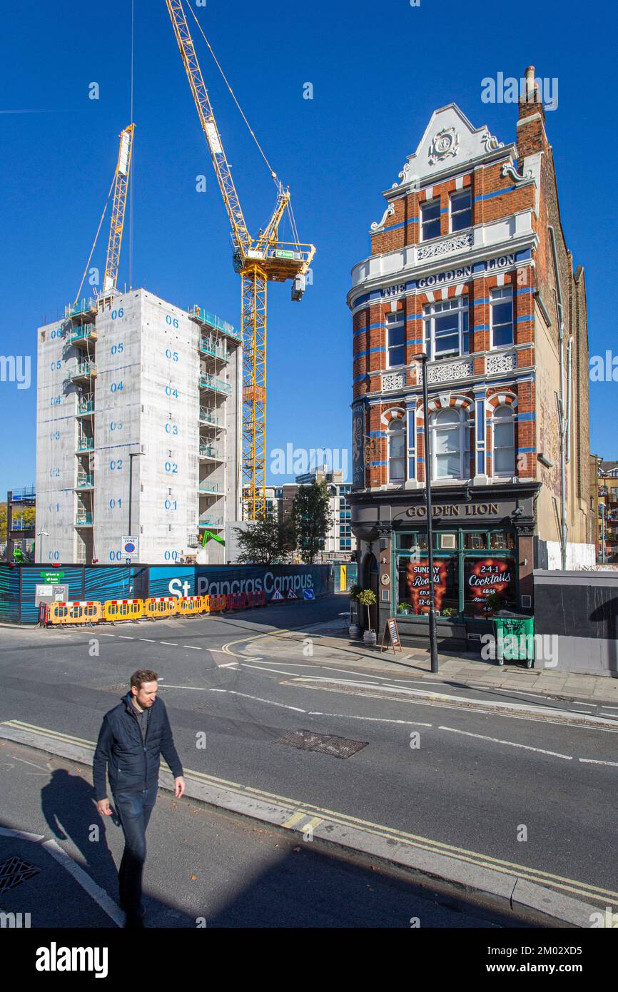 Das Golden Lion ist ein Camden-Pub, der von Immobilienentwicklern bedroht wird, London, Großbritannien. Stockfoto