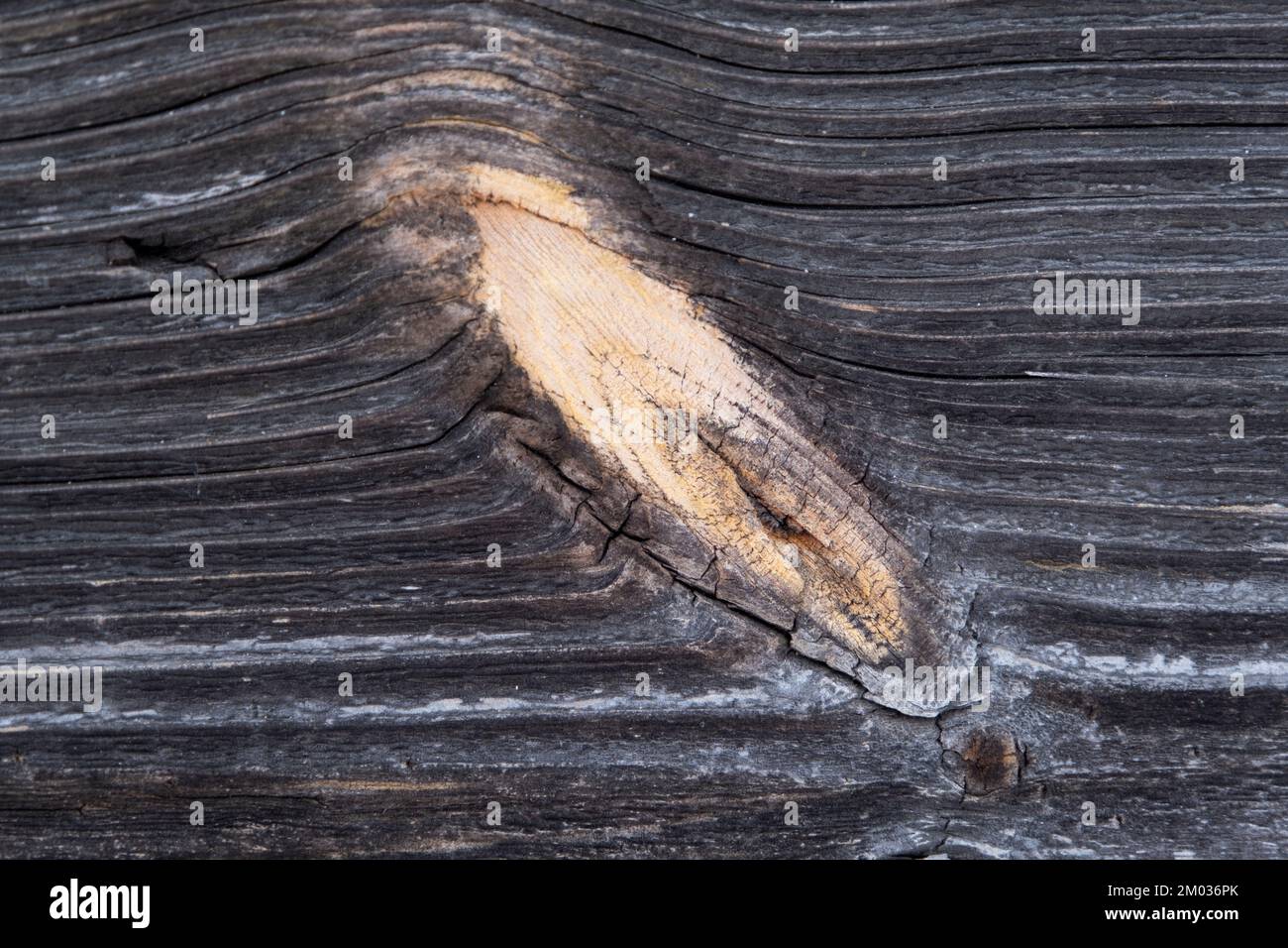 Das alte Holz Textur mit natürlichen Muster. Stockfoto