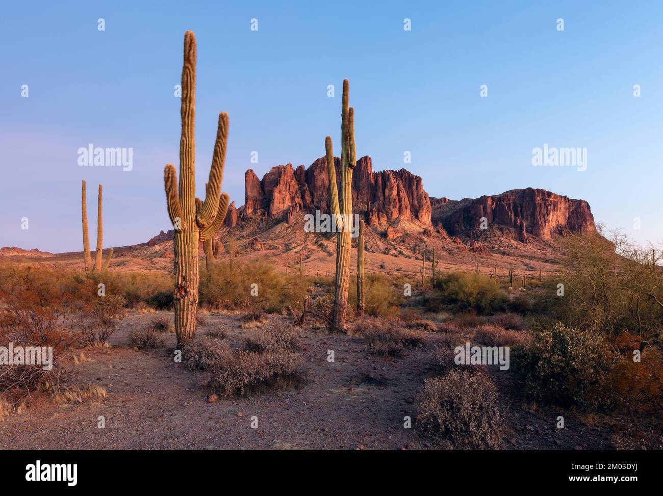 Lost Dutchman State Park und die Superstition Mountains in Arizona Stockfoto