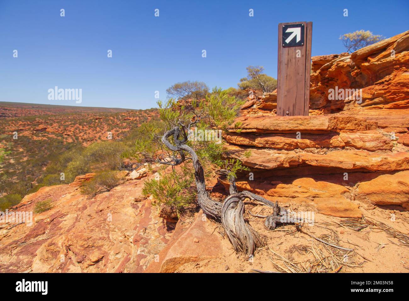 Der Nature Window Trail im Kalvance-Nationalpark, Australien, ist ein markanter Pfosten und mit Stunts bewachsene, stabile Bäume auf rötlichen Sandsteinen. Stockfoto