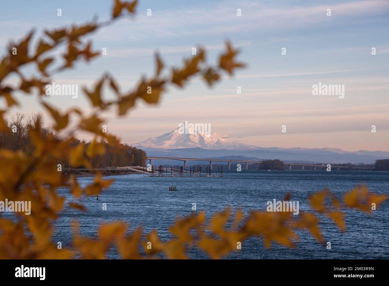 Mt Hood, Oregon, Winteruntergang über dem Columbia River mit eingerahmtem Laub aus Vancouver Washington Stockfoto