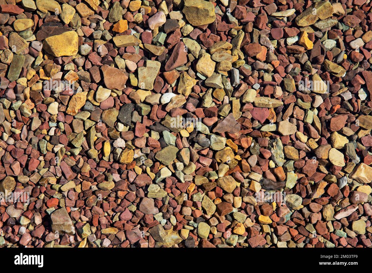 Rote und grüne Argillitkiesel verwitterten sich von alten Felsen unter Wasser am Seeufer des Cameron Lake, Waterton Lakes National Park, Kanada. Stockfoto
