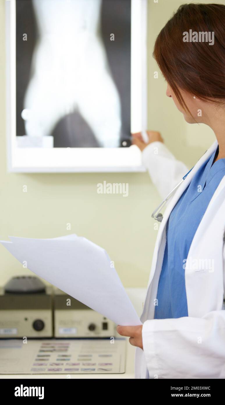 Ich liebe meinen Job. Eine junge Frau im medizinischen Bereich, die sich ein Röntgenbild ansieht. Stockfoto