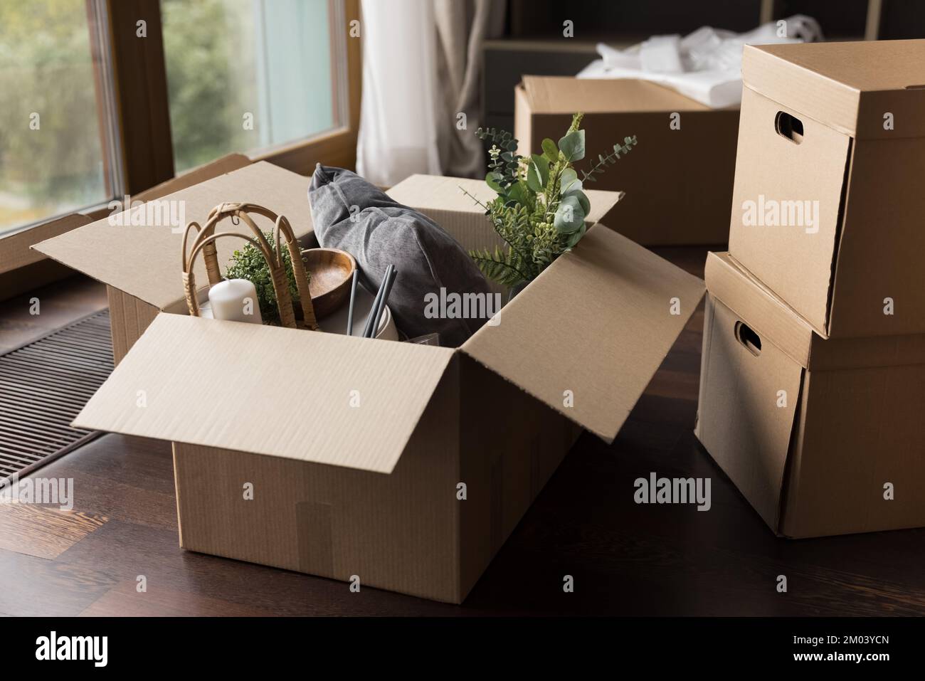 Offene Schachtel mit Haushaltswaren, Heimpflanzen auf dem Boden Stockfoto