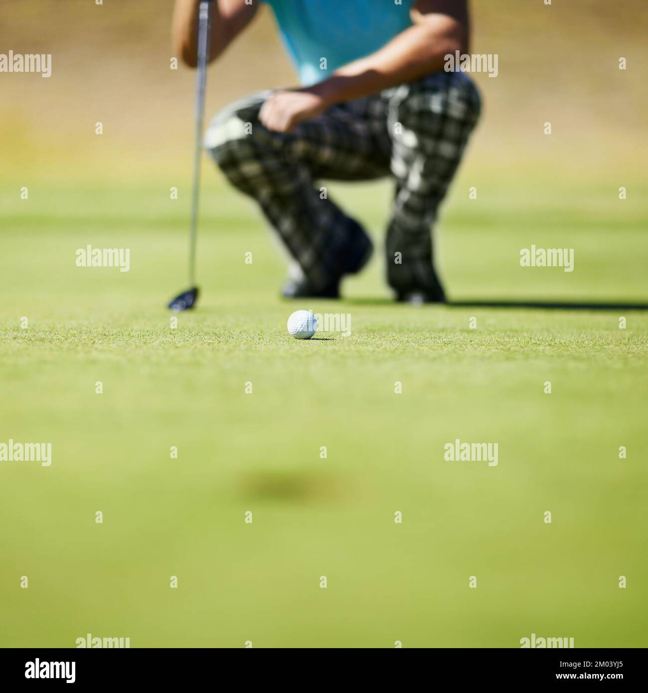 Das erfordert Konzentration. Ein Golfer, der auf dem Grün hockt und einen Putt anguckt. Stockfoto