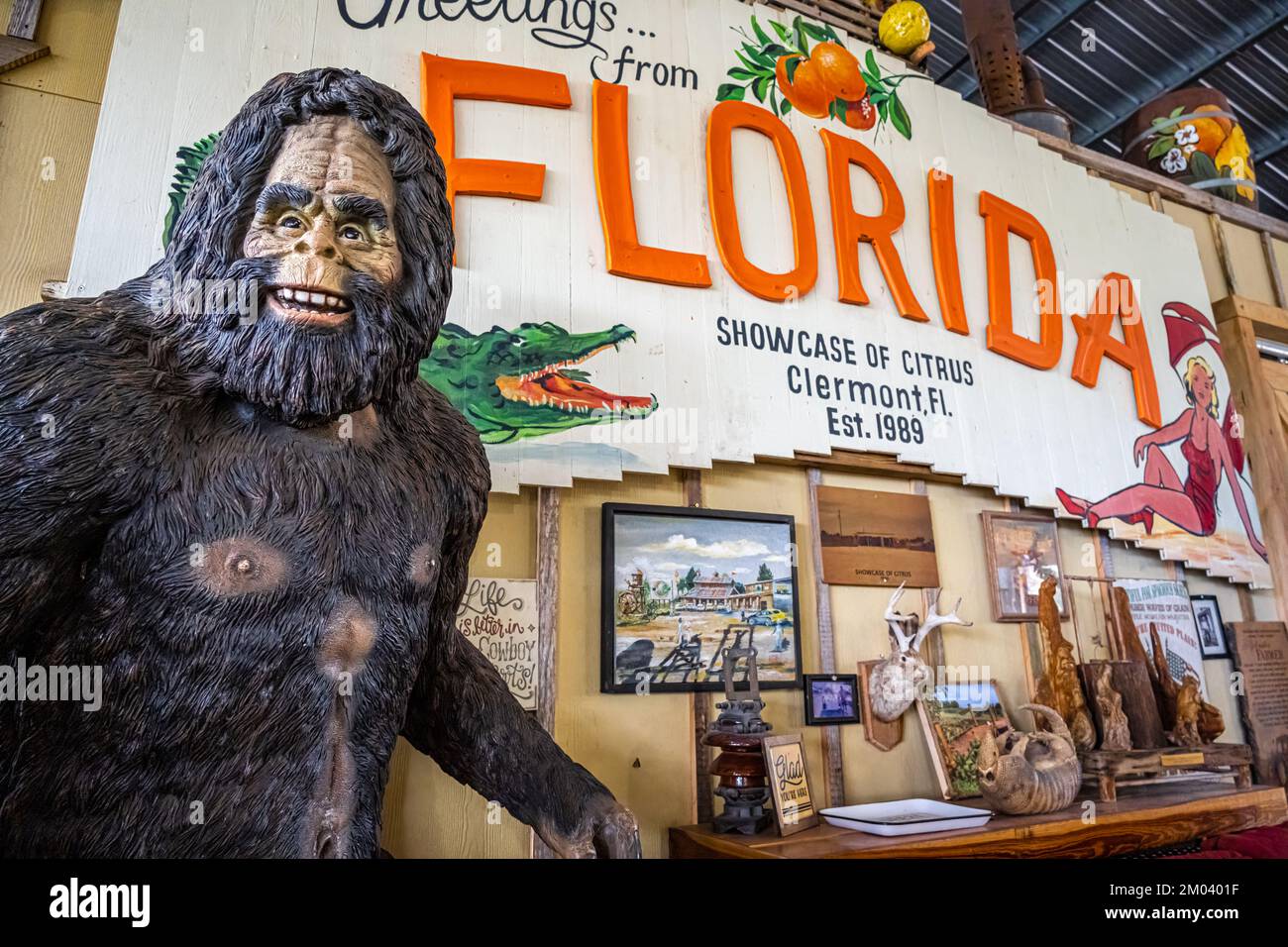 Bigfoot at the Showcase of Citrus, eine Zitrusattraktion am Straßenrand in Clermont, Florida, südöstlich von Orlando. (USA) Stockfoto