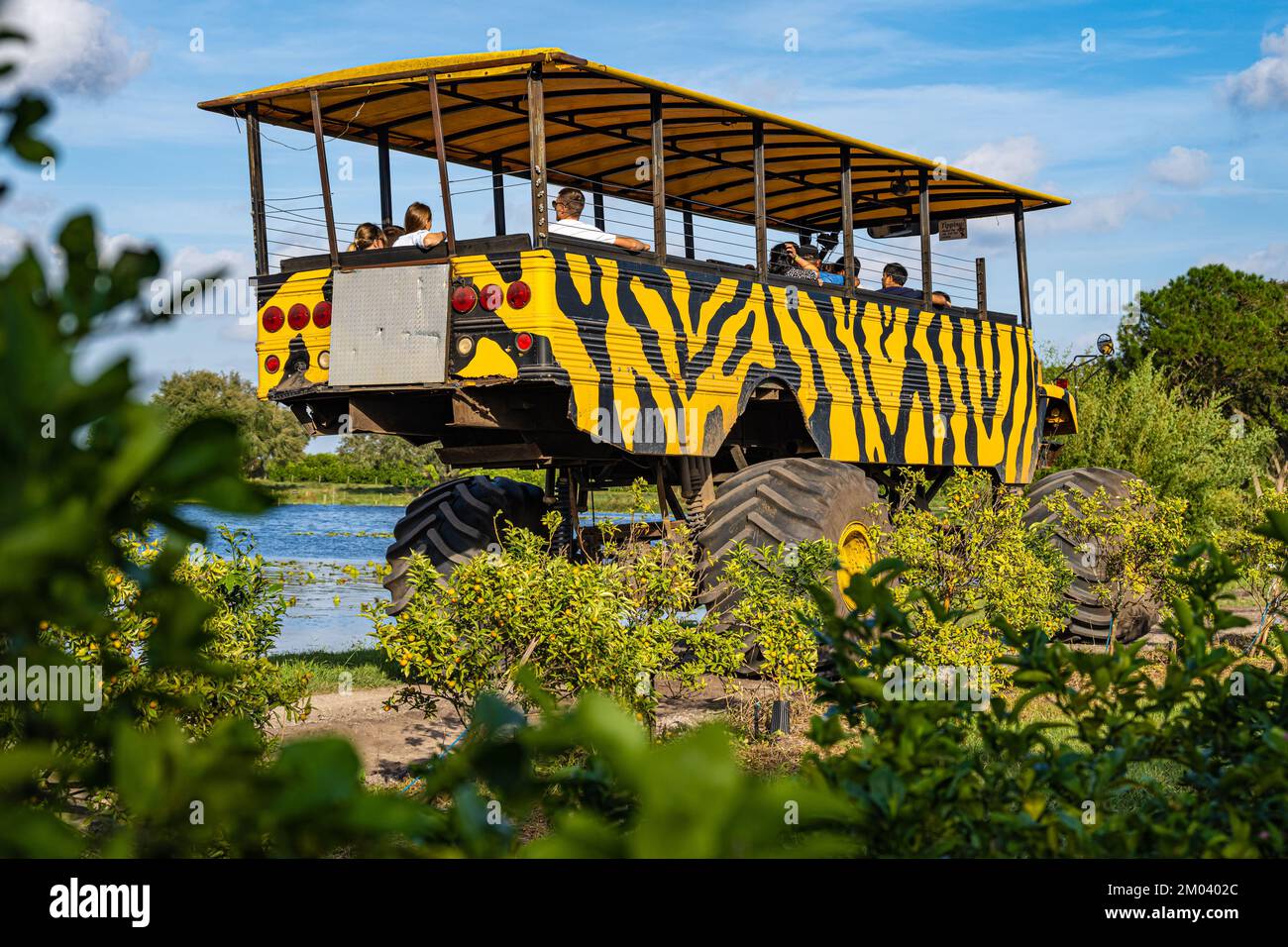 Eine Ausstellung über die Citrus Monster Truck Ranch und Citrus Grove Tour in Clermont, Florida. (USA) Stockfoto