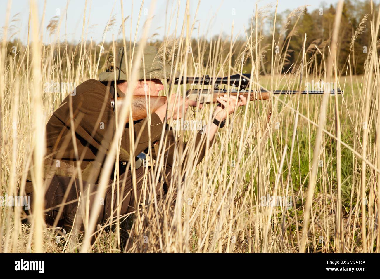 Von der Natur verborgen. Ein Wildjäger, der seine Waffe in der Hand hält und auf etwas zielt, während er sich im Schilf im Freien versteckt. Stockfoto