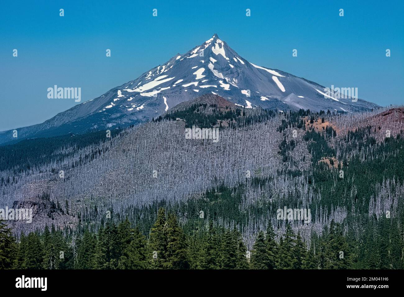 Blick auf Mount Jefferson, Pacific Crest Trail, Oregon, USA Stockfoto