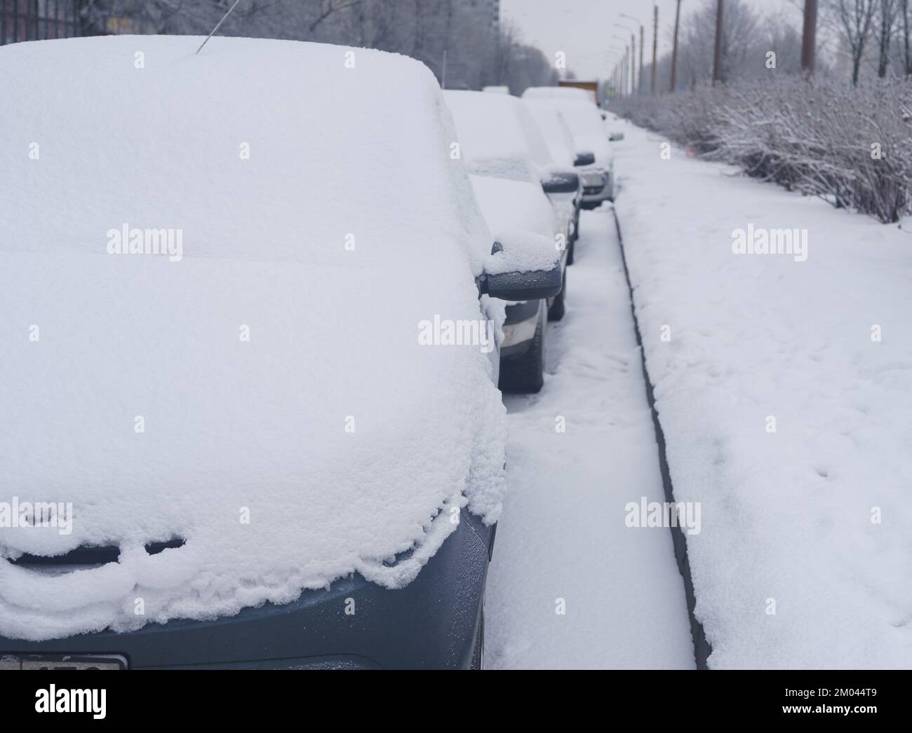 Geparkte Autos mit frischem, weißem Schnee bedeckt Stockfoto