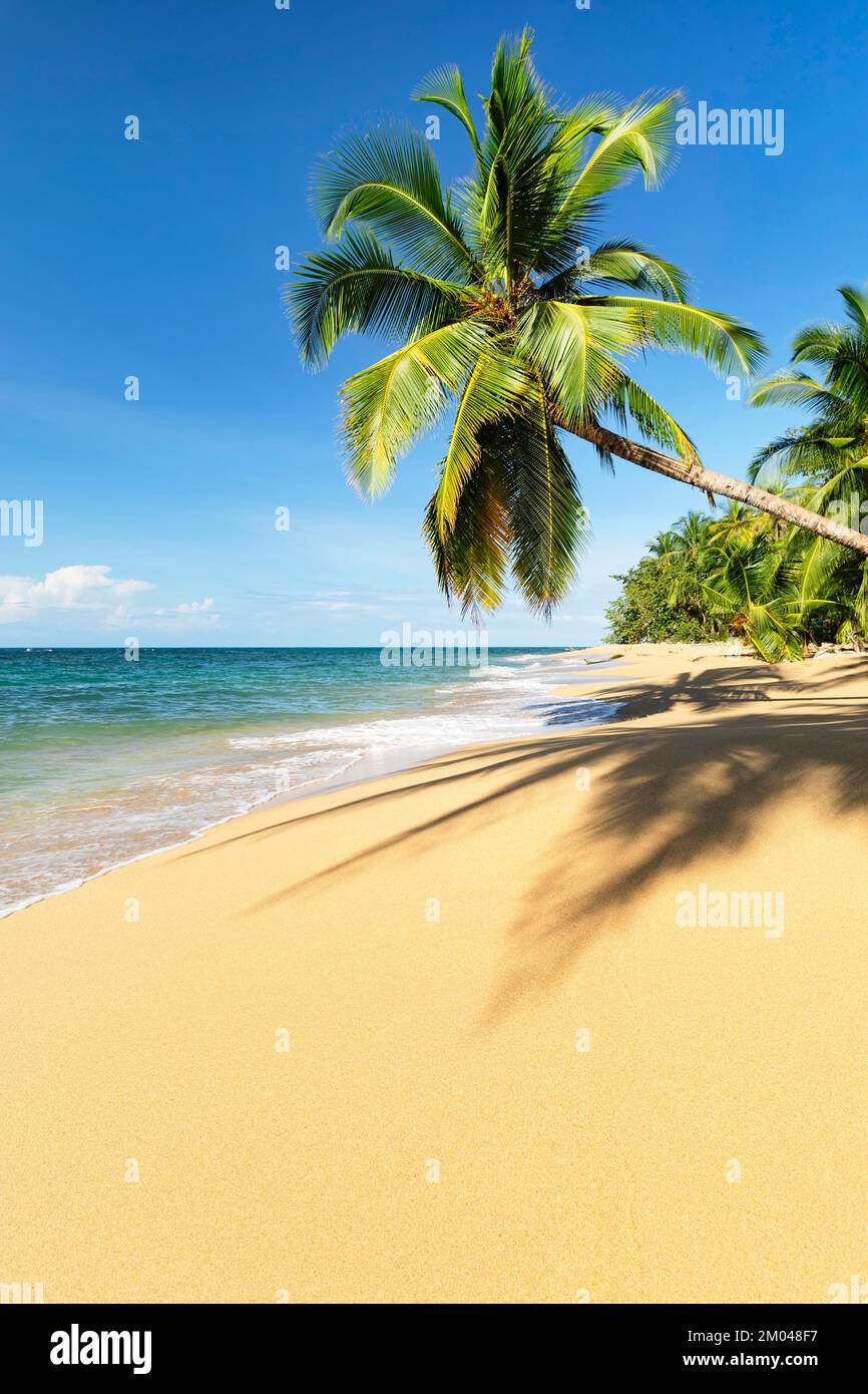 Playa Uva, Puerto Viejo, Limon, Karibik, Costa Rica, Mittelamerika Stockfoto