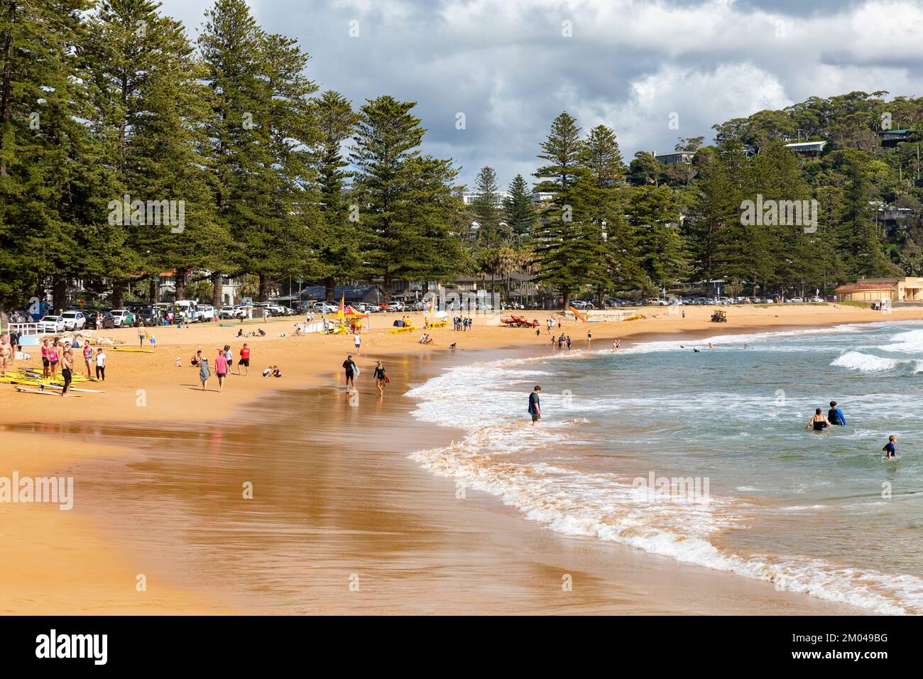 Palm Beach Sydney ringt mit Norfolkiefern, Leute genießen Strandaktivitäten an einem sonnigen Sommertag, Sydney, NSW, Australien 2022 Stockfoto