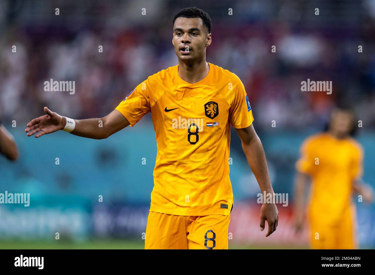 Al Rajjan, Katar. 03.. Dezember 2022. Fußball: Weltmeisterschaft, Niederlande - USA, Endrunde, Runde 16, Chalifa International Stadium, Niederländische Cody-Gakpo-Gesten. Kredit: Tom Weller/dpa/Alamy Live News Stockfoto