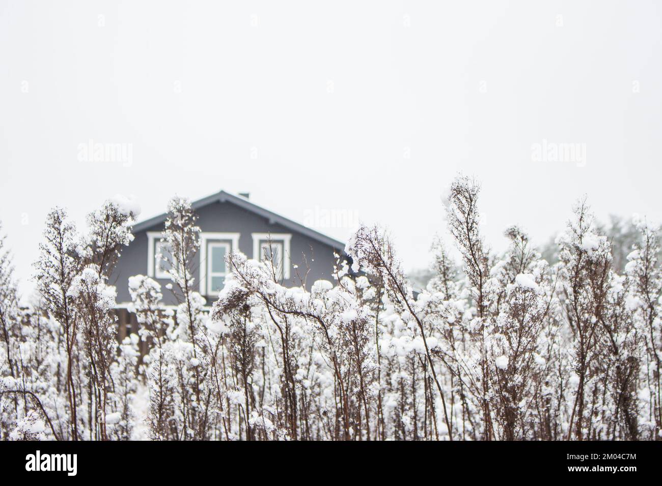 Ein Landhaus auf einer verschneiten Wiese. Wunderschöne Winterlandschaft. Winterferienkonzept. Hütte im Schnee und gefrorener Wald. Kaltes Wetter. Ein Dorf im Schnee Stockfoto