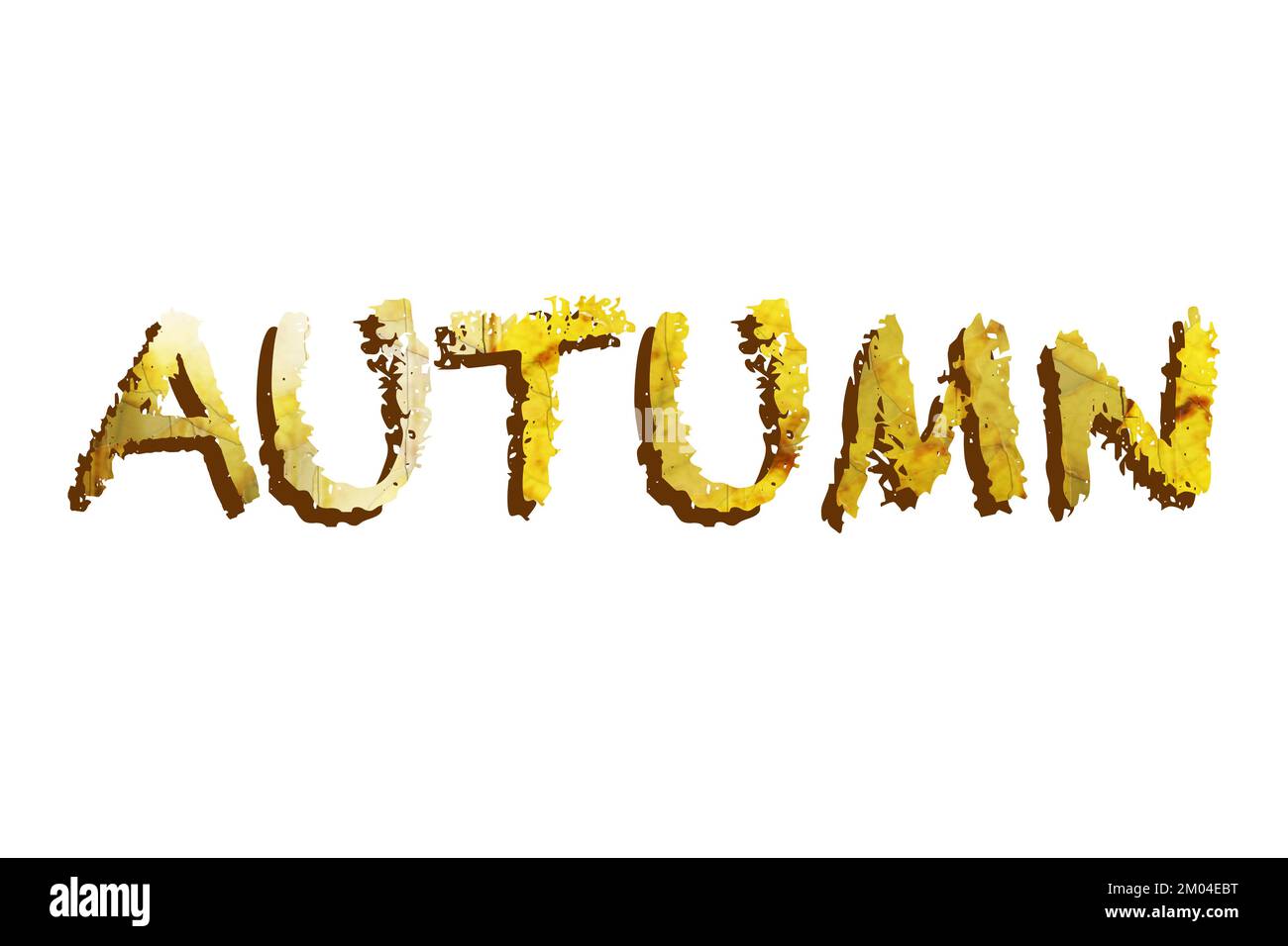 Herbstgelb und trockene Blätter in der Herbstsaison. Herbstkonzeptionsidee. Wort mit trockenen Blättern, isoliert auf weißem Hintergrund. Stockfoto