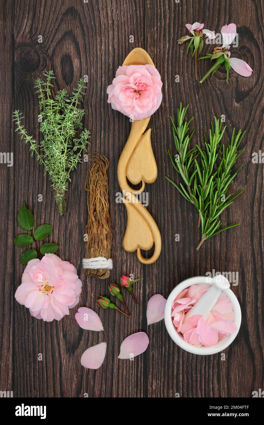 Zutaten für magischen Zauberspruch Liebestrank natürliche Rezeptur mit Rosenblumen, Rosmarin, Thymian und Ginseng Kräutern. Stockfoto