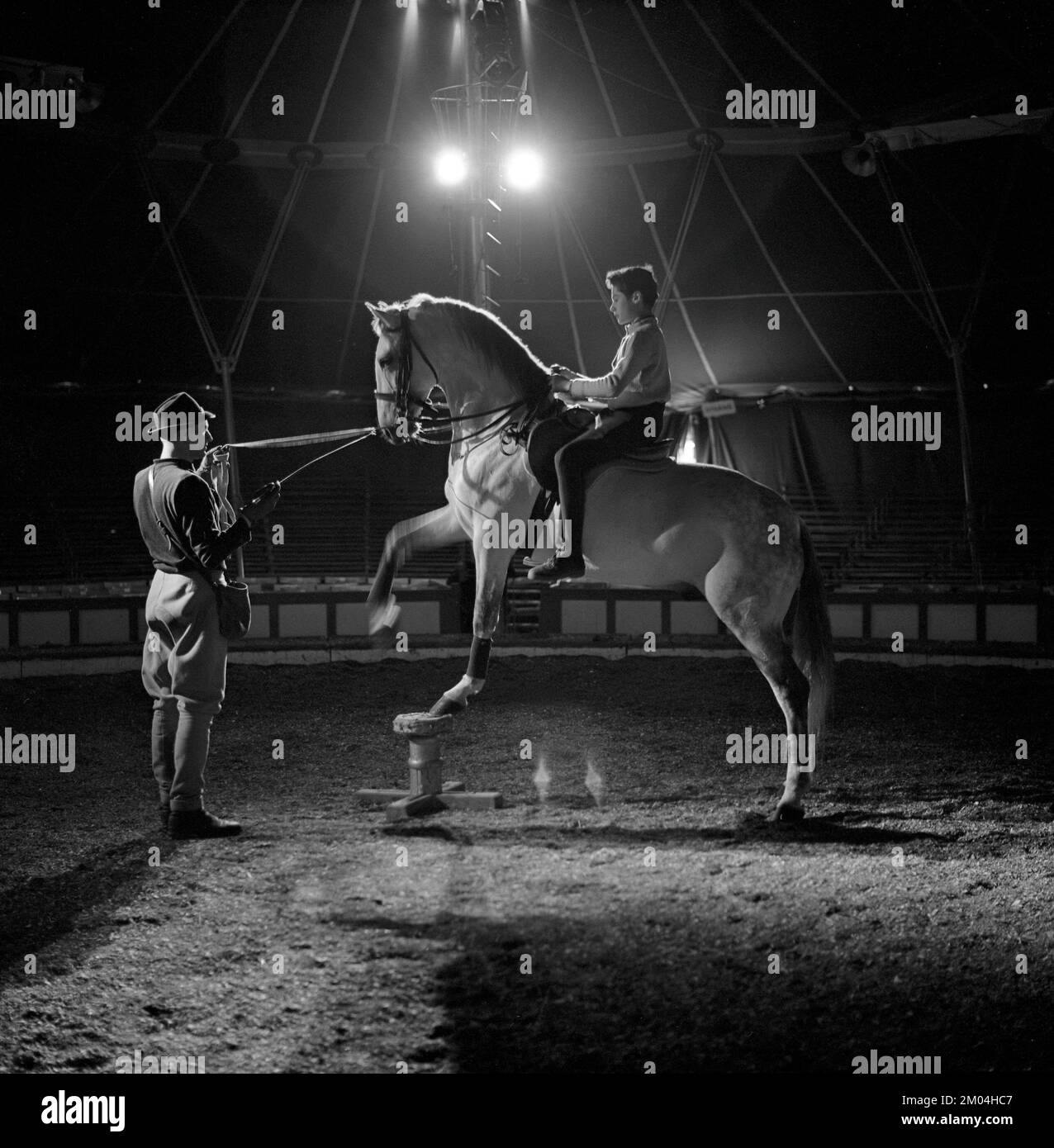 Zirkus im 1960er. Jahrhundert. Im Zirkuszelt wird eine Pferdezirkusnummer praktiziert. Ein Junge sitzt auf dem Pferd und steht auf einem Sockel. Schweden april 1961 Stockfoto