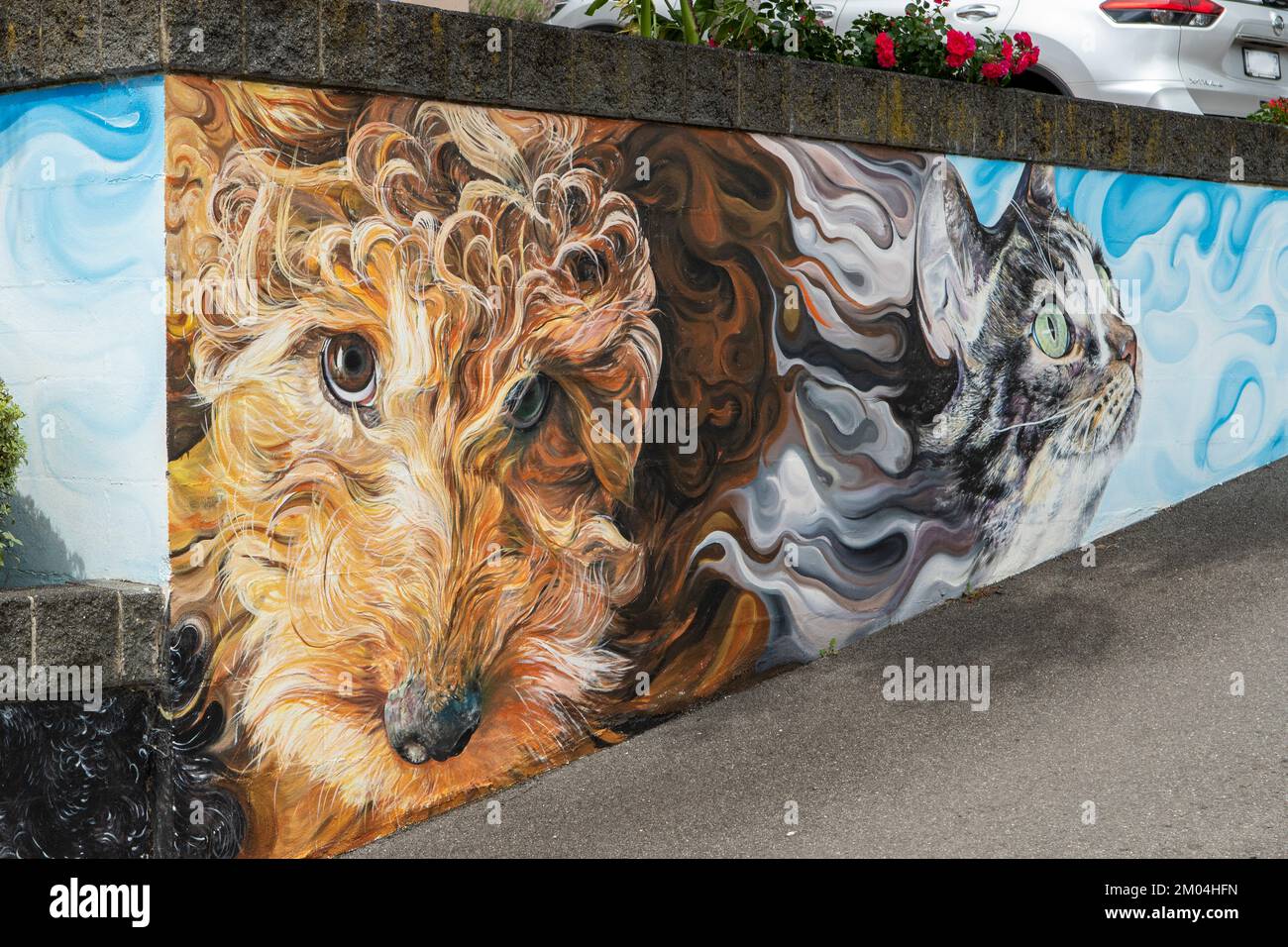 Street Art an der Veterinary Clinic, Launceston, Tasmanien, Australien Stockfoto