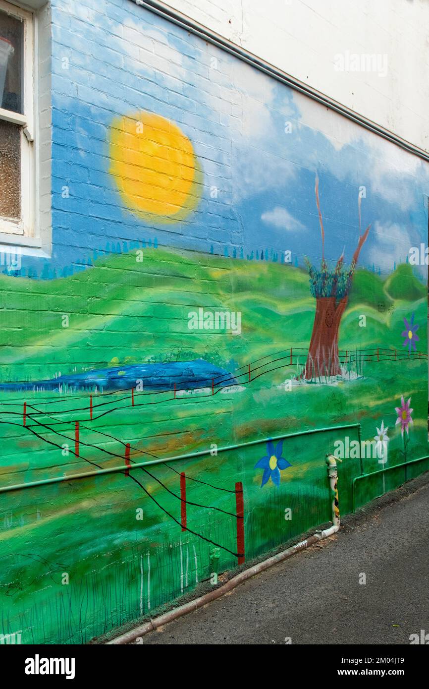 Street Art im CWA Building in Elizabeth Street, Hobart, Tasmanien, Australien Stockfoto