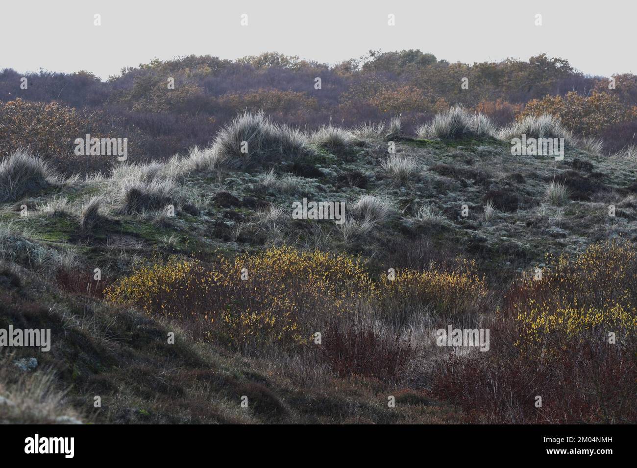 Winterton-on-Sea-Dünen Stockfoto