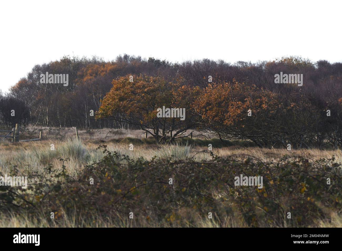 Winterton-on-Sea-Dünen Stockfoto