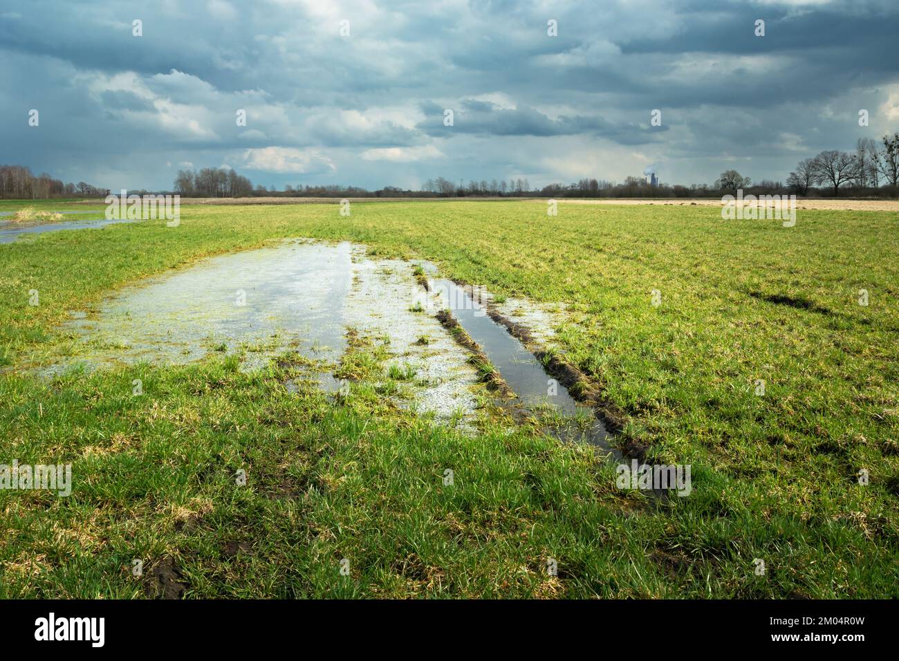 Verwunderlich Wasser Im Furaum Nach Regen Fotos