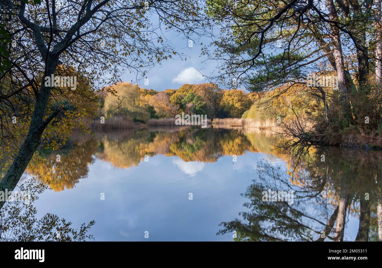 Herbstfarben am Ornamental Lake, Southampton Common, Hampshire, Großbritannien Stockfoto