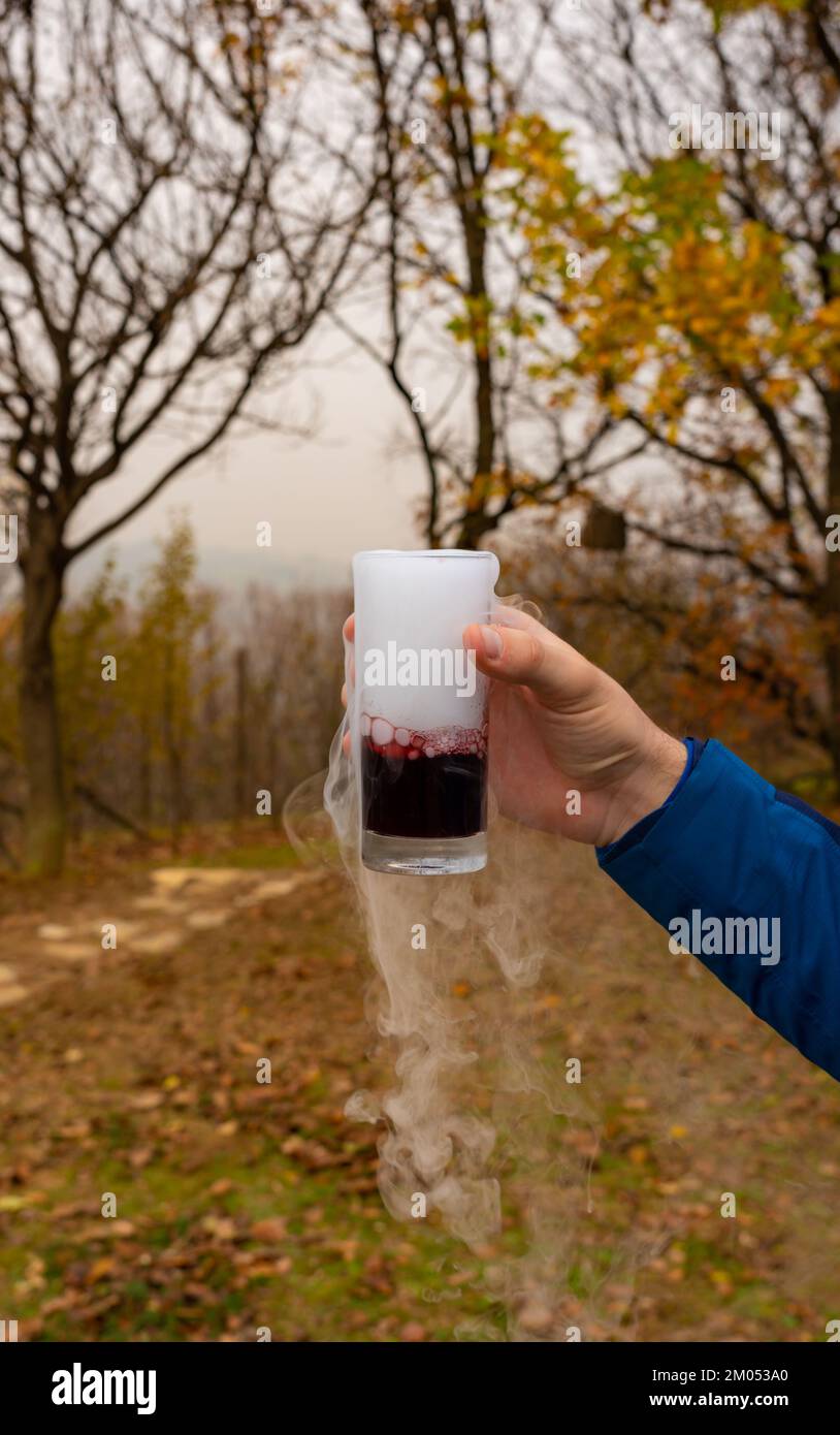 Ein Glas magisches Getränk mit viel Rauch vor dem Hintergrund einer herbstlichen Landschaft Stockfoto