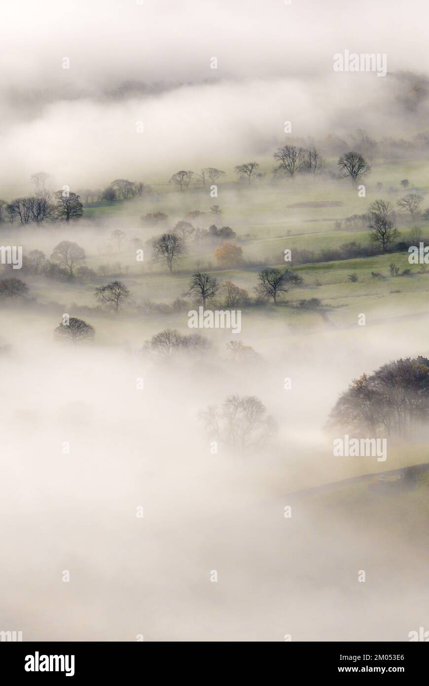 Herbstnebel und Bäume im Edale Valley, Peak District National Park, Derbyshire, Großbritannien Stockfoto