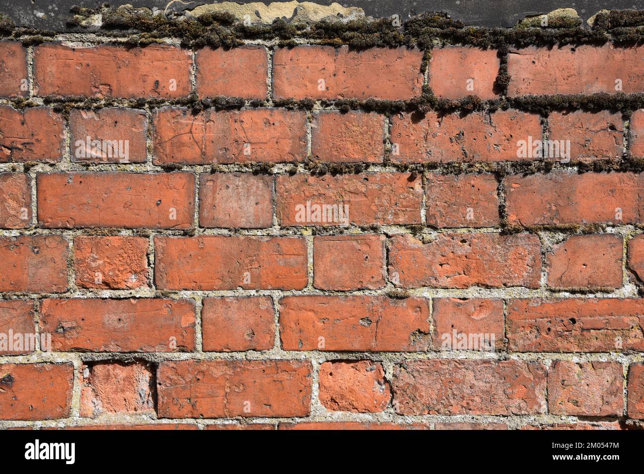 Steinmauer Stockfoto