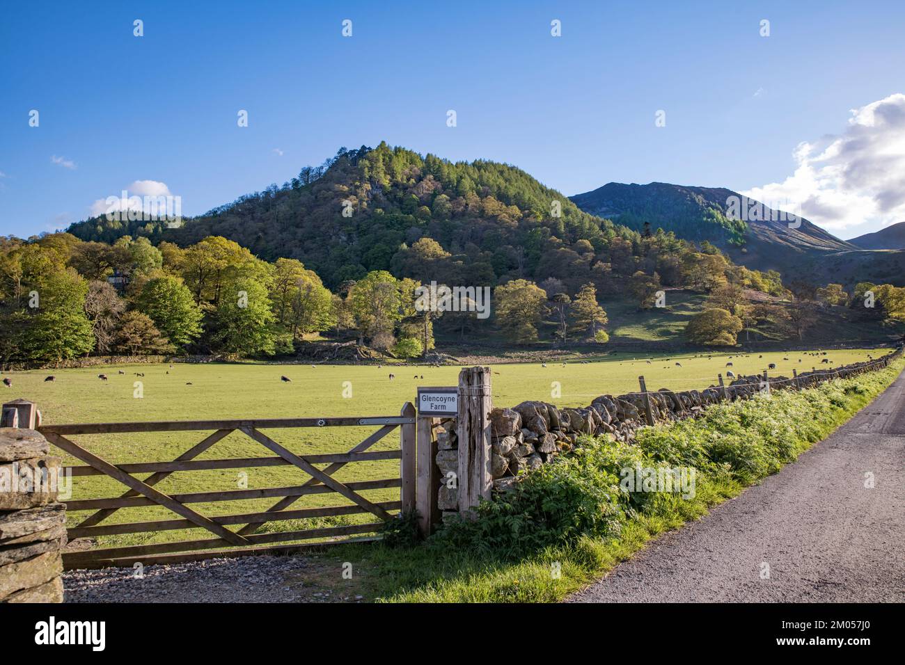 Glencoyne Farm Gate Ullswater im Lake District Stockfoto