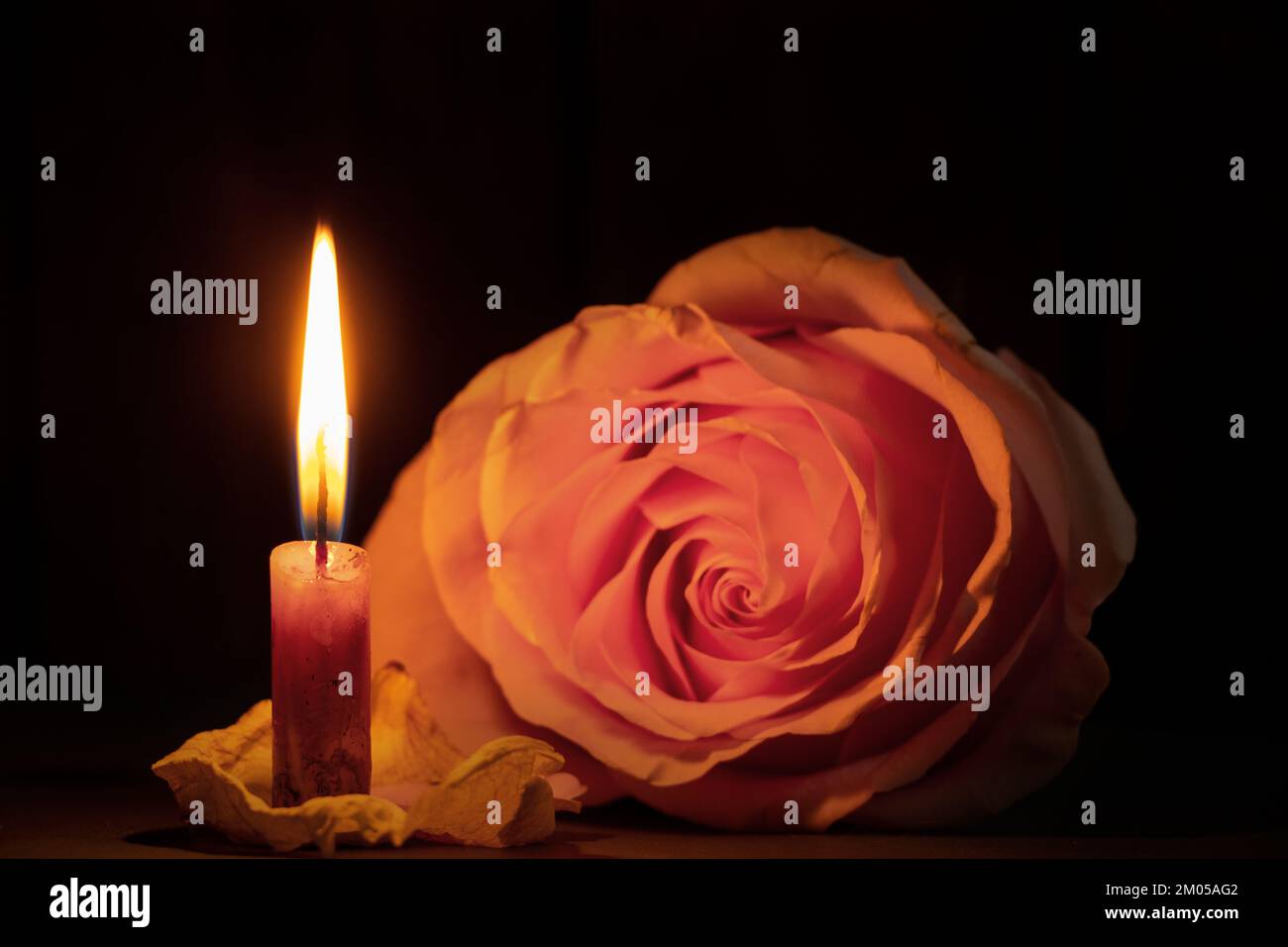 Eine Kerzenflamme und neben einer Rose in der dunklen Nahaufnahme Stockfoto
