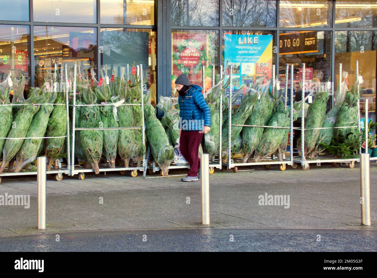 Weihnachtsbäume zum Verkauf stapelten sich Stockfoto