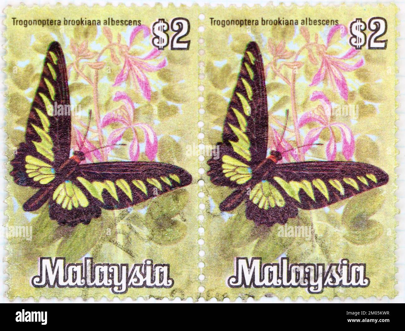 Foto von zwei verbundenen Briefmarken aus Malaysia Rajah Brooke's Birdwing Trogonoptera brookiana Butterflies of Malaysia 1970-1977 series 1970 Stockfoto