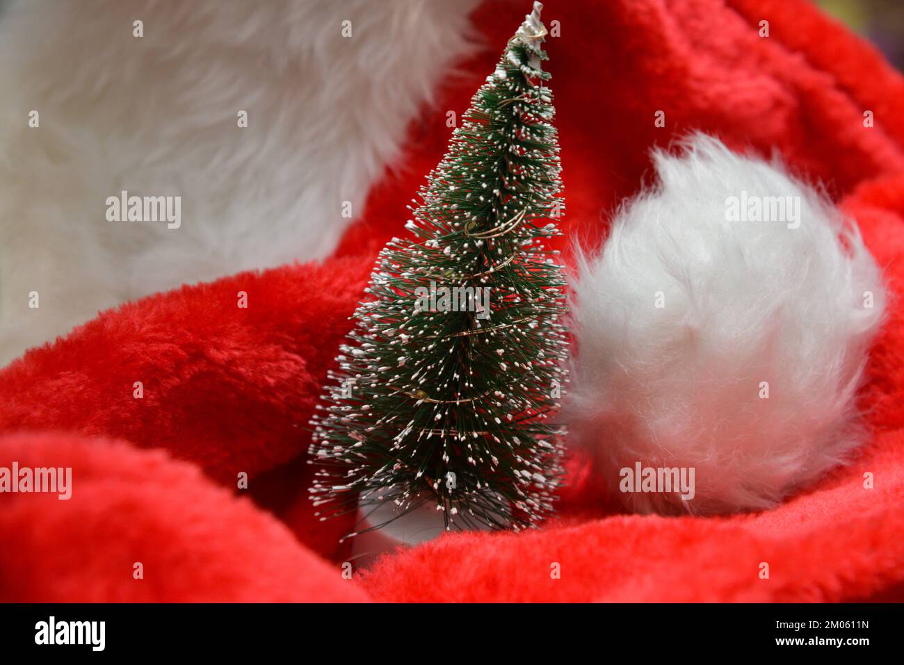 Weihnachtsdekorationen. Ein kleiner künstlicher Weihnachtsbaum mit künstlichem Schnee auf einem roten Weihnachtsmann-Hut. Stockfoto