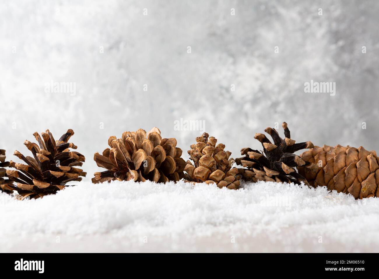 Winterurlaub mit dekorierten Kiefernkegeln und Schnee Stockfoto