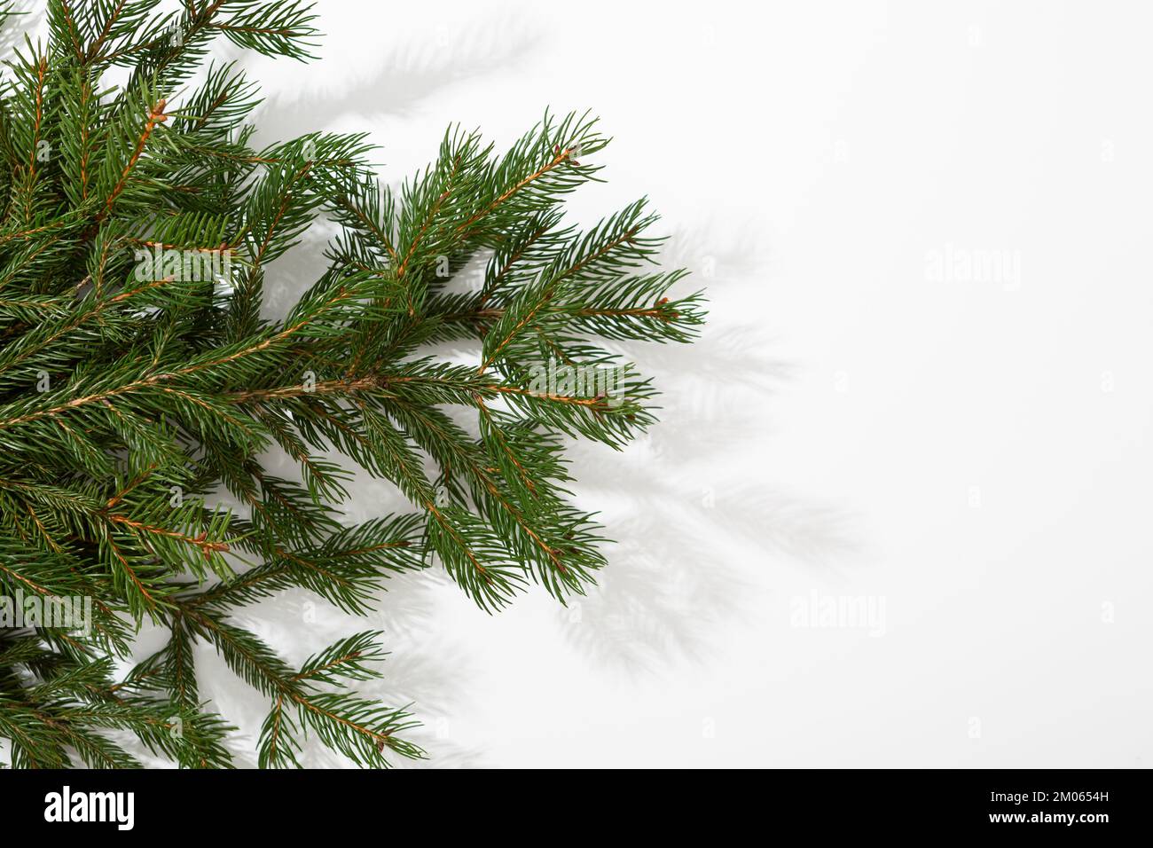 Weißer Weihnachtshintergrund mit grünen Zweigen Stockfoto