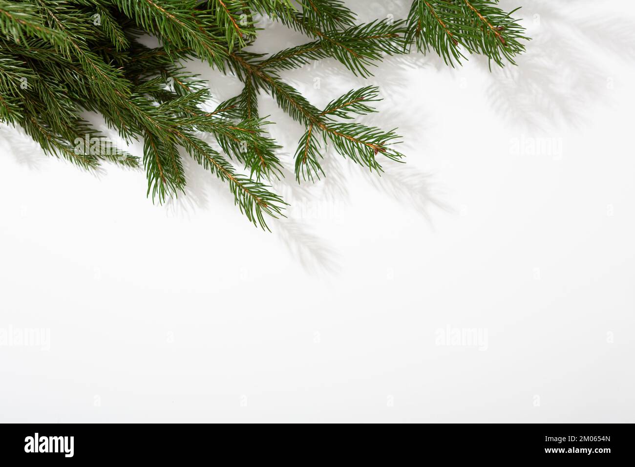 Weißer Weihnachtshintergrund mit grünen Zweigen, Sonderangebot für Weihnachtskonzepte Stockfoto