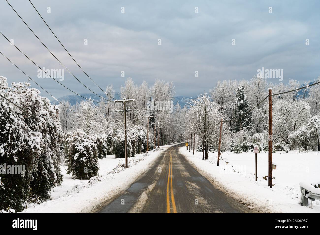 Schneesturm auf einer Straße mit Schnee am Straßenrand, Bäumen und Telefonmasten unter bewölktem Himmel im Winter Stockfoto